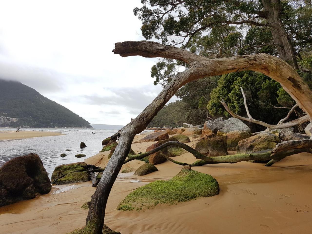 Fish Creek Adrift Accommodation Luaran gambar
